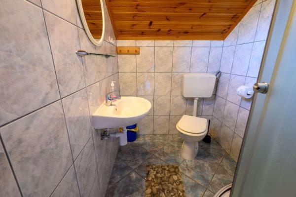 Guesthouse Mirko Hodak Seliste Dreznicko Exteriör bild