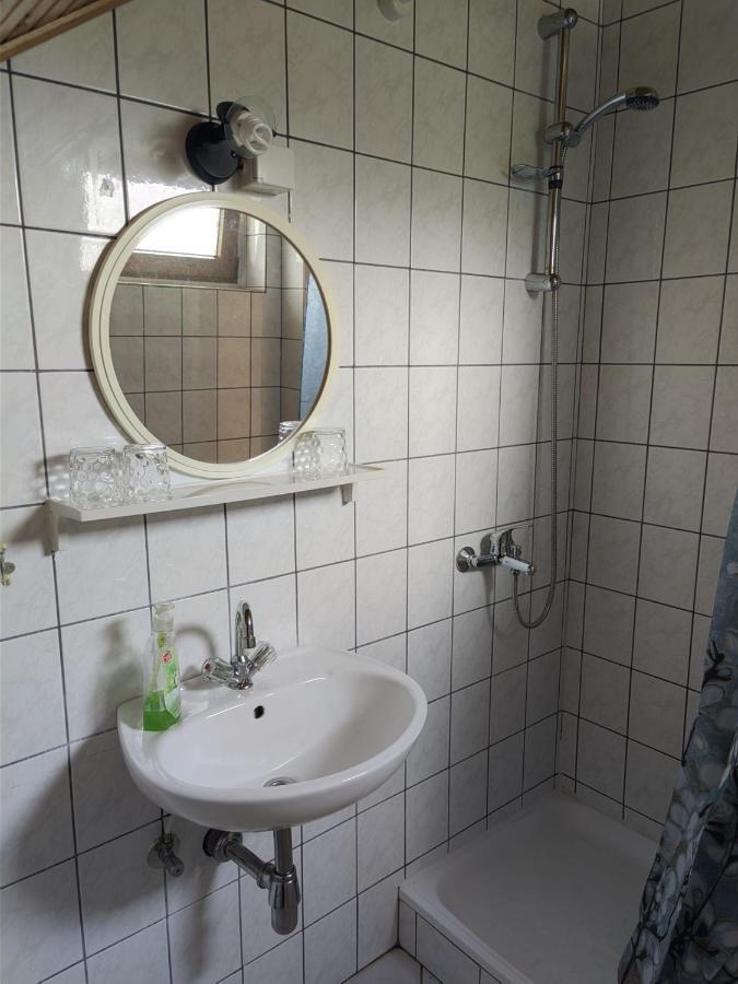 Guesthouse Mirko Hodak Seliste Dreznicko Exteriör bild