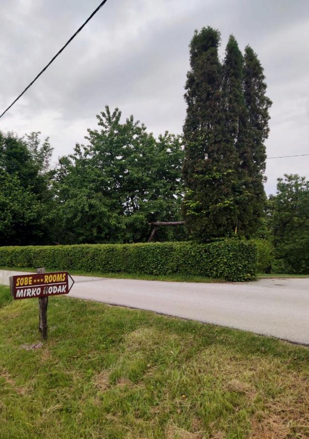 Guesthouse Mirko Hodak Seliste Dreznicko Exteriör bild